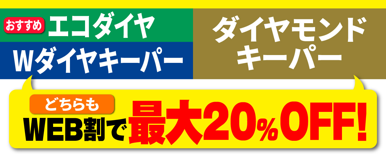 エコダイヤ・Wダイヤキーパー